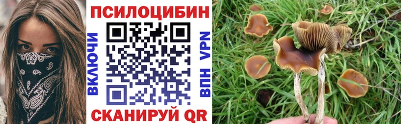 Псилоцибиновые грибы GOLDEN TEACHER  KRAKEN ТОР  Камень-на-Оби 